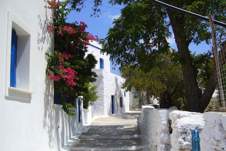 22 daagse reis Athene Andros Tinos Paros Amorgos Naxos 