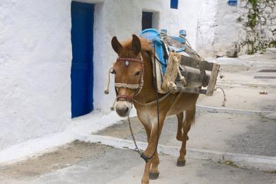 eilandhoppen amorgos 