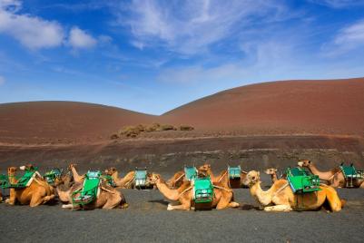 eilandhoppen lanzarote 