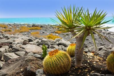 eilandhoppen lanzarote 