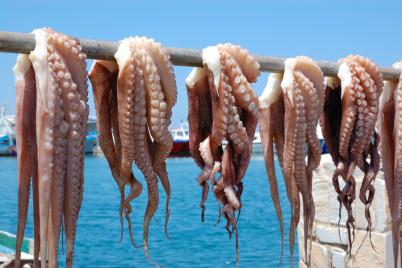 eilandhoppen naxos 