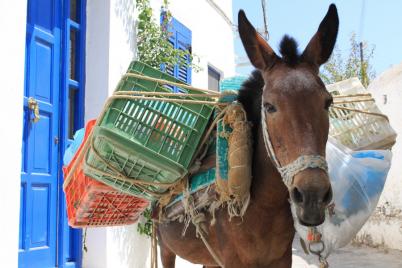 eilandhoppen santorini 