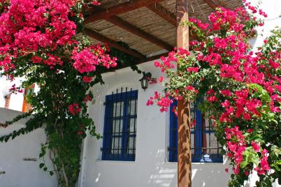eilandhoppen sifnos 