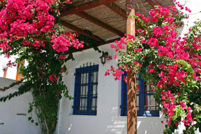 eilandhoppen sifnos 